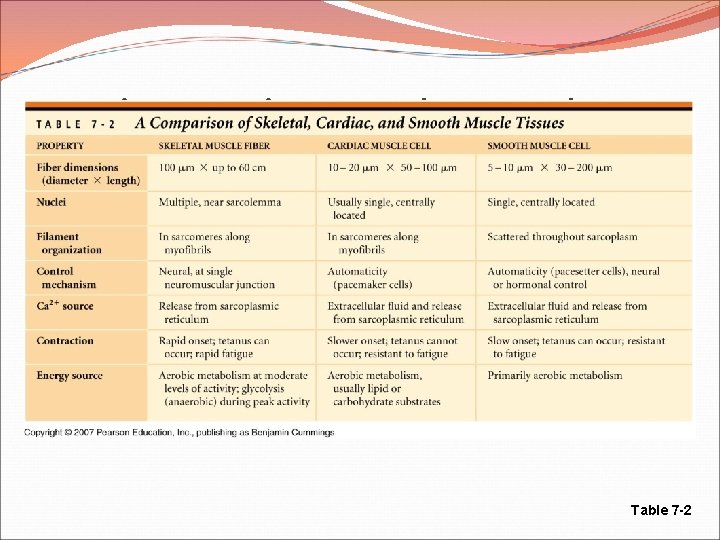 Cardiac and Smooth Muscle Table 7 -2 