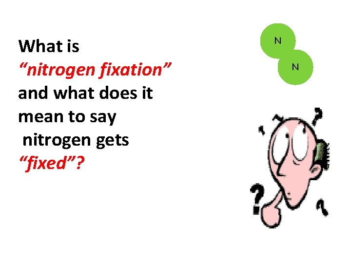 What is “nitrogen fixation” and what does it mean to say nitrogen gets “fixed”?