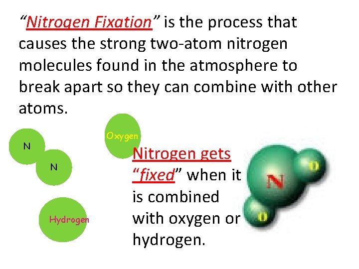 “Nitrogen Fixation” is the process that causes the strong two-atom nitrogen molecules found in