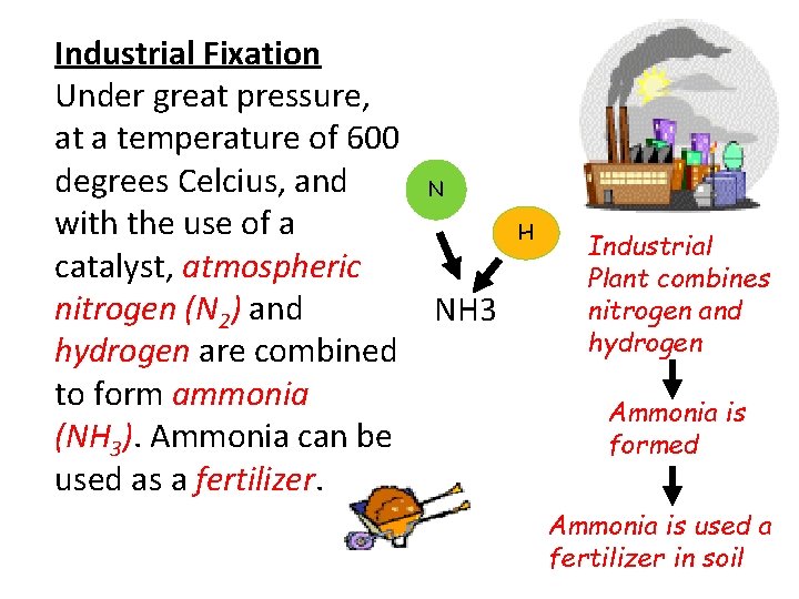 Industrial Fixation Under great pressure, at a temperature of 600 degrees Celcius, and N