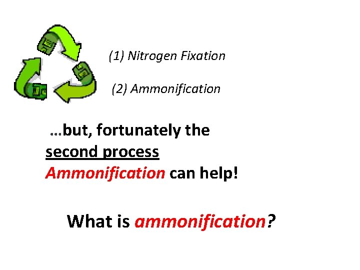 (1) Nitrogen Fixation (2) Ammonification …but, fortunately the second process Ammonification can help! What