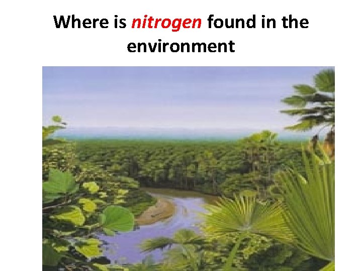 Where is nitrogen found in the environment 