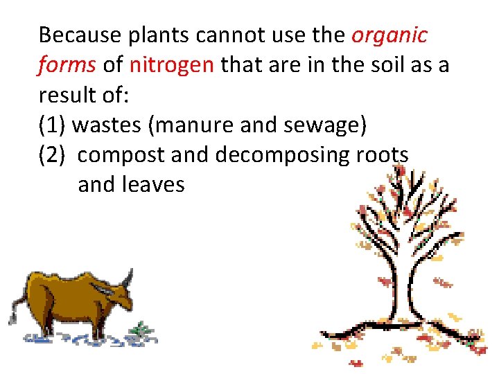 Because plants cannot use the organic forms of nitrogen that are in the soil