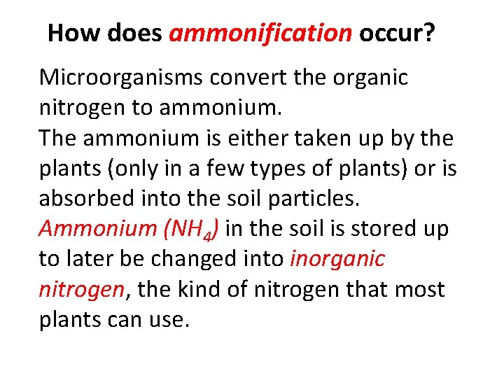 How does ammonification occur? Microorganisms convert the organic nitrogen to ammonium. The ammonium is