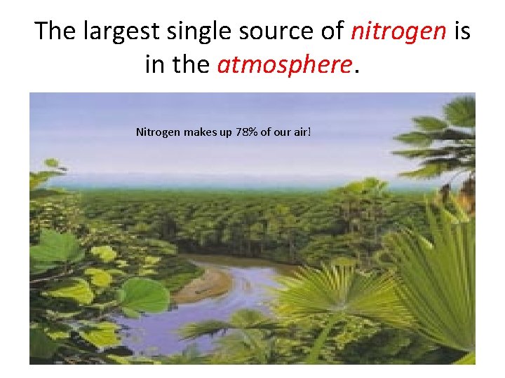 The largest single source of nitrogen is in the atmosphere. Nitrogen makes up 78%