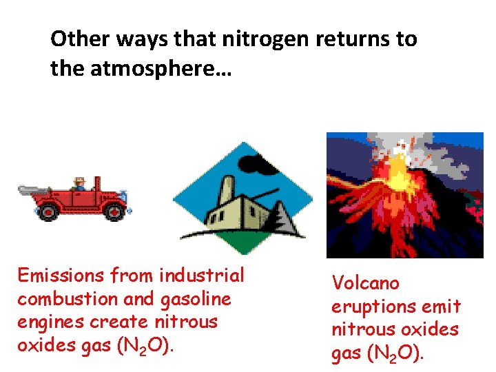 Other ways that nitrogen returns to the atmosphere… Emissions from industrial combustion and gasoline