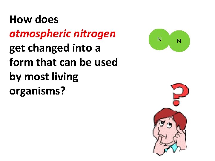 How does atmospheric nitrogen get changed into a form that can be used by
