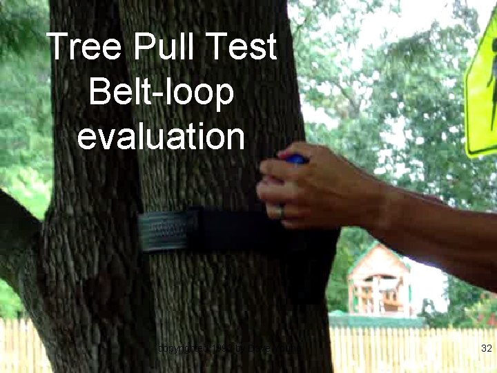 Tree Pull Test Belt-loop evaluation copyrighted 1992 by Dave Young 32 