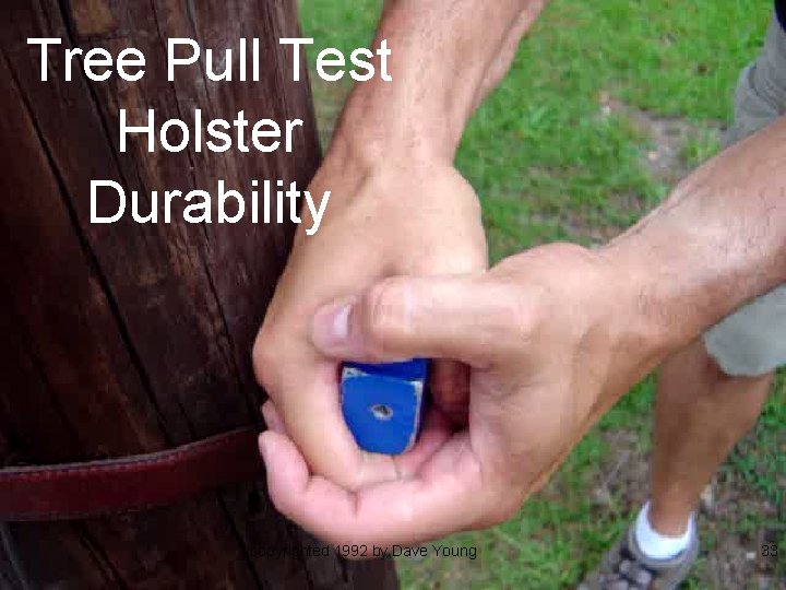 Tree Pull Test Holster Durability copyrighted 1992 by Dave Young 33 