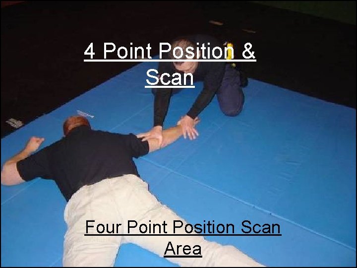 4 Point Position & Scan Four Point Position Scan Area copyrighted 1992 by Dave