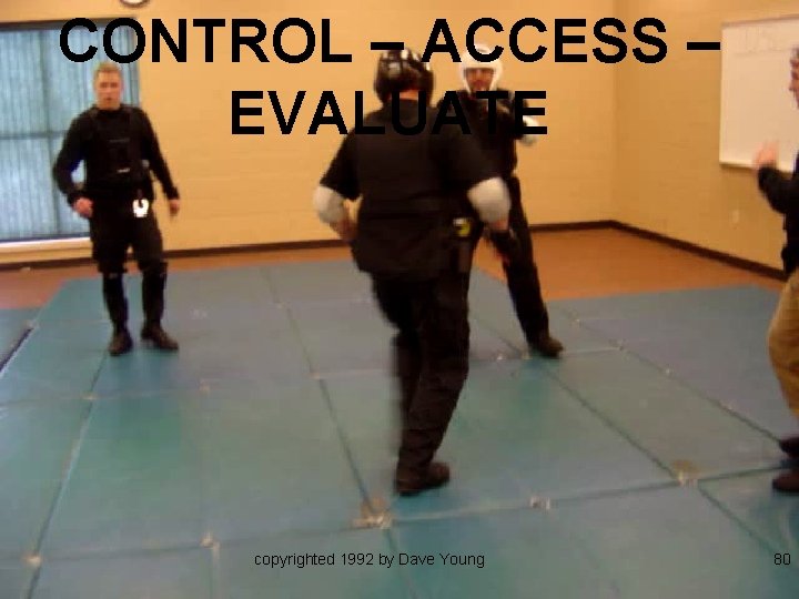 CONTROL – ACCESS – EVALUATE copyrighted 1992 by Dave Young 80 