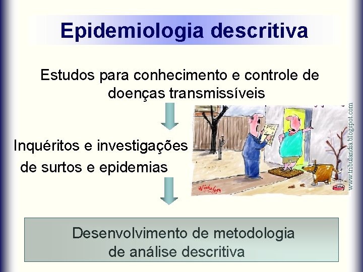 Epidemiologia descritiva Inquéritos e investigações de surtos e epidemias Desenvolvimento de metodologia de análise