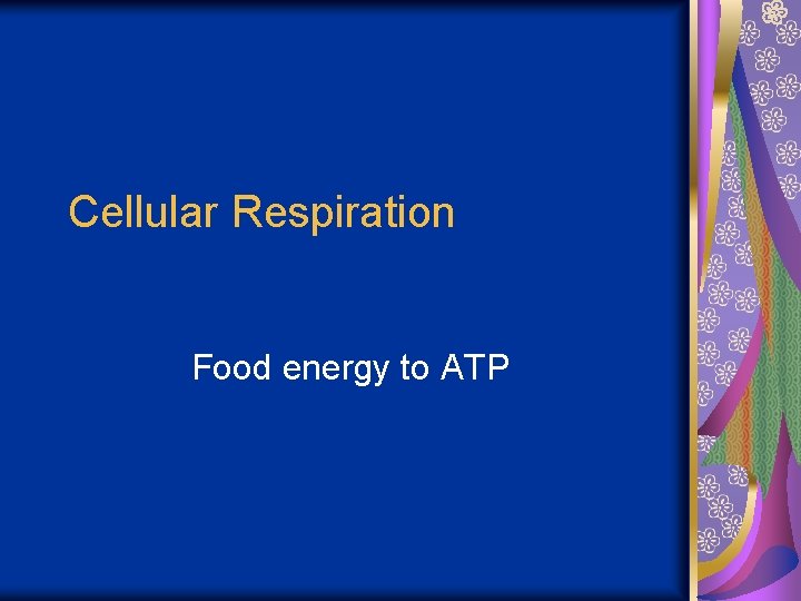 Cellular Respiration Food energy to ATP 