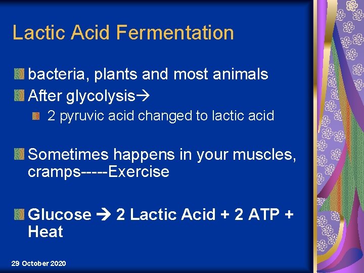 Lactic Acid Fermentation bacteria, plants and most animals After glycolysis 2 pyruvic acid changed