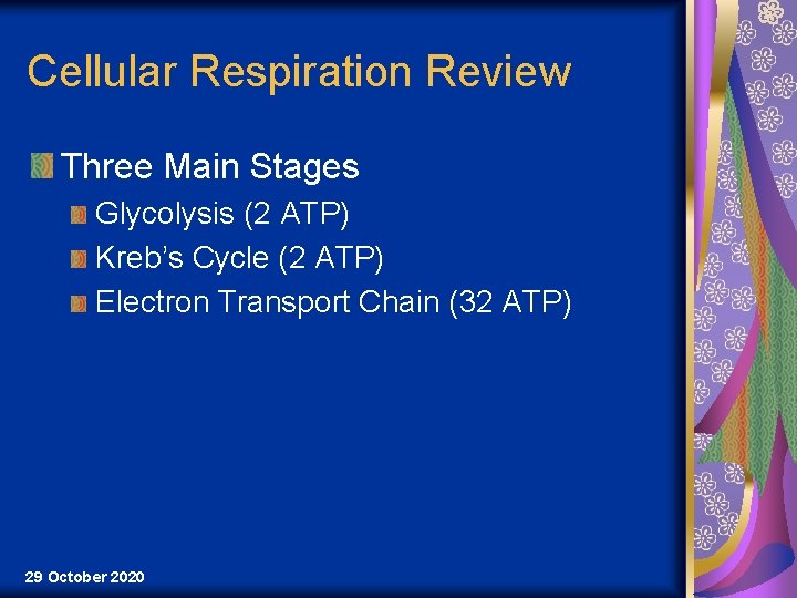 Cellular Respiration Review Three Main Stages Glycolysis (2 ATP) Kreb’s Cycle (2 ATP) Electron