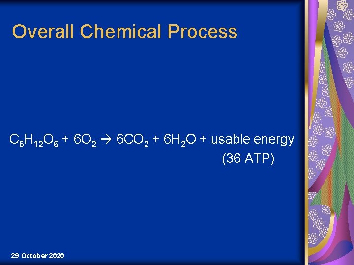 Overall Chemical Process C 6 H 12 O 6 + 6 O 2 6