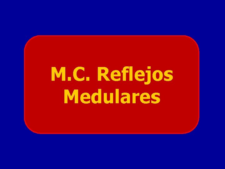 M. C. Reflejos Medulares 