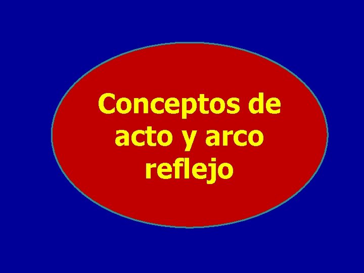 Conceptos de acto y arco reflejo 