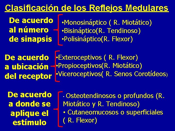 Clasificación de los Reflejos Medulares De acuerdo al número de sinapsis • Monosináptico (