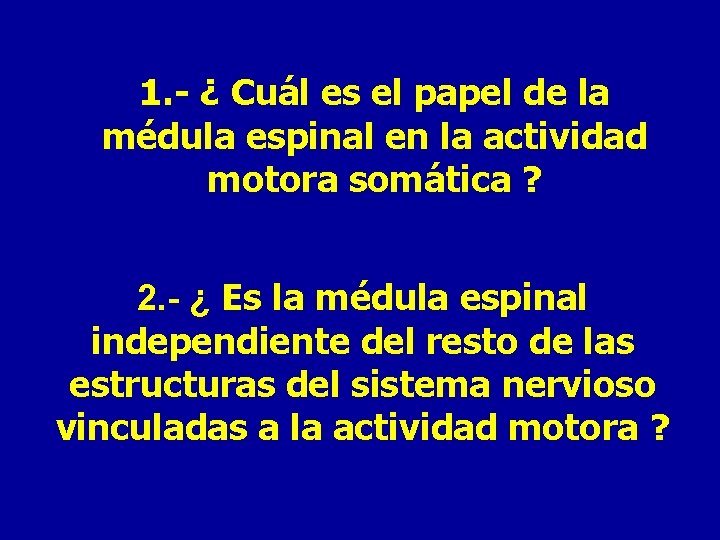 1. - ¿ Cuál es el papel de la médula espinal en la actividad