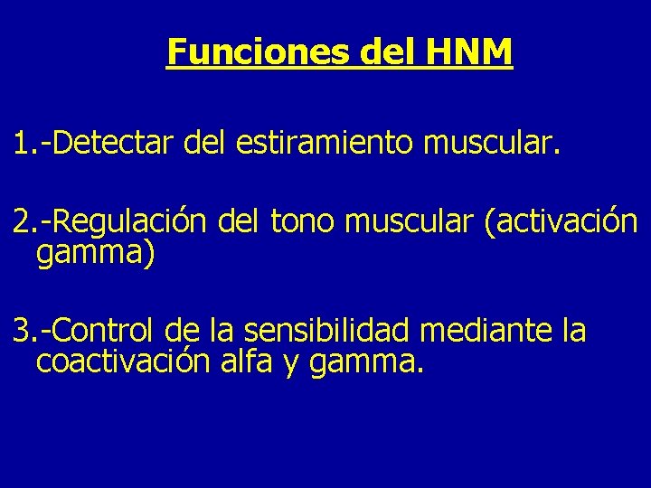 Funciones del HNM 1. -Detectar del estiramiento muscular. 2. -Regulación del tono muscular (activación