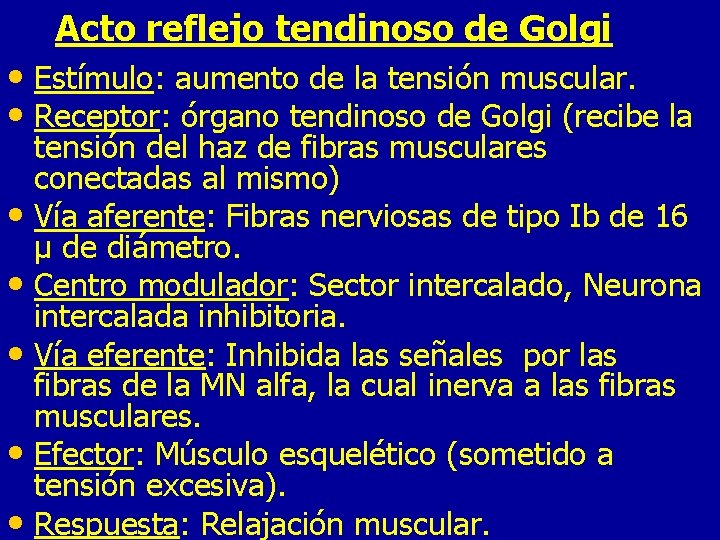 Acto reflejo tendinoso de Golgi • Estímulo: aumento de la tensión muscular. • Receptor: