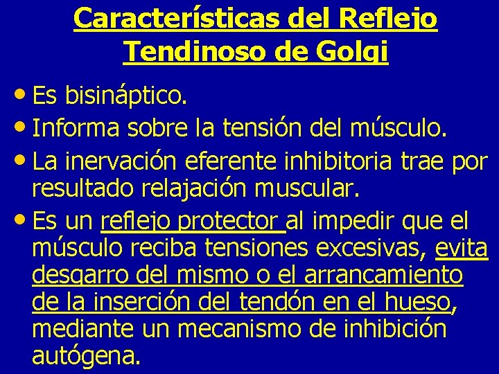 Características del Reflejo Tendinoso de Golgi • Es bisináptico. • Informa sobre la tensión