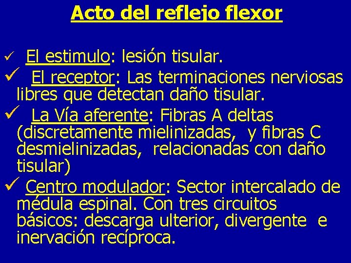 Acto del reflejo flexor El estimulo: lesión tisular. ü El receptor: Las terminaciones nerviosas