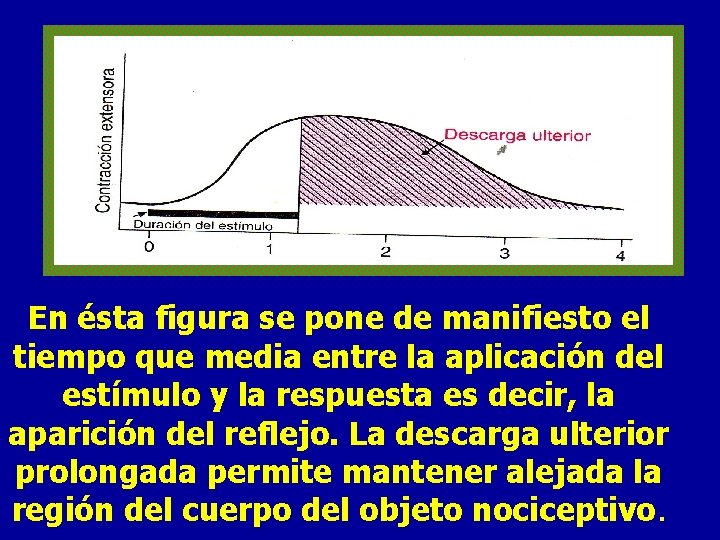 En ésta figura se pone de manifiesto el tiempo que media entre la aplicación