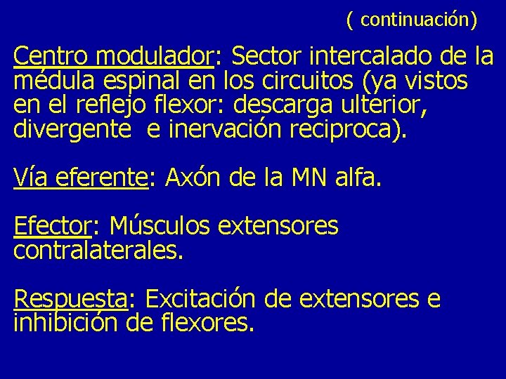 ( continuación) Centro modulador: Sector intercalado de la médula espinal en los circuitos (ya