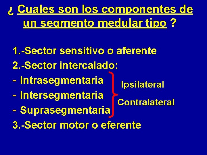 ¿ Cuales son los componentes de un segmento medular tipo ? 1. -Sector sensitivo