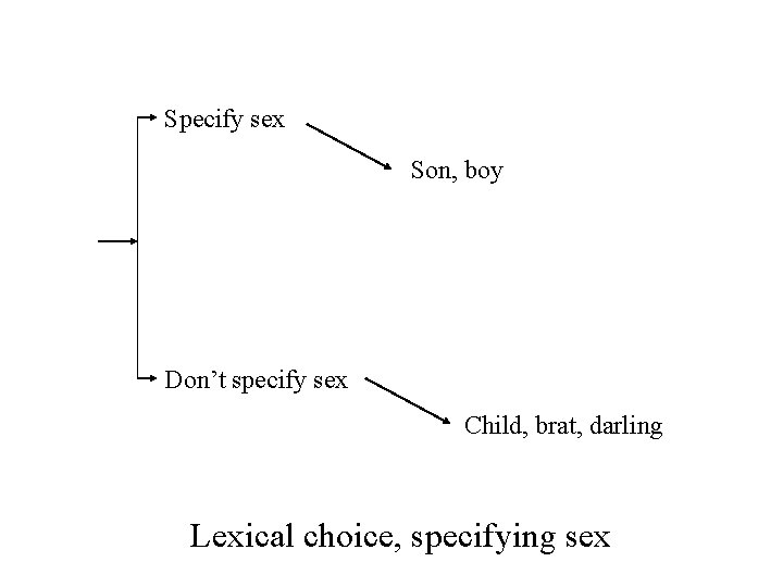 Specify sex Son, boy Don’t specify sex Child, brat, darling Lexical choice, specifying sex