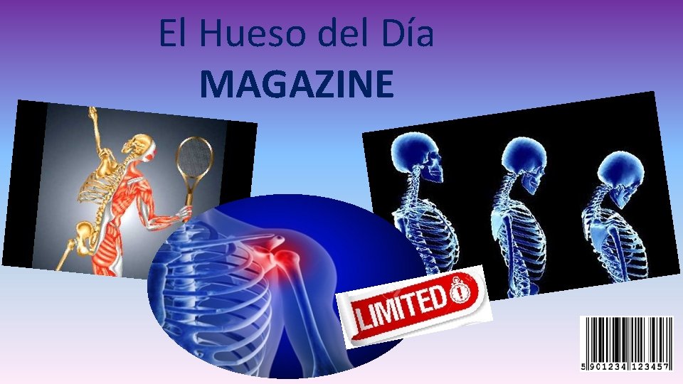 El Hueso del Día MAGAZINE El Hueso del Día MAGAZINE