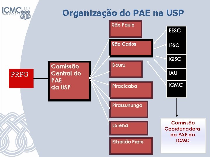 Organização do PAE na USP São Paulo São Carlos EESC IFSC IQSC PRPG Comissão