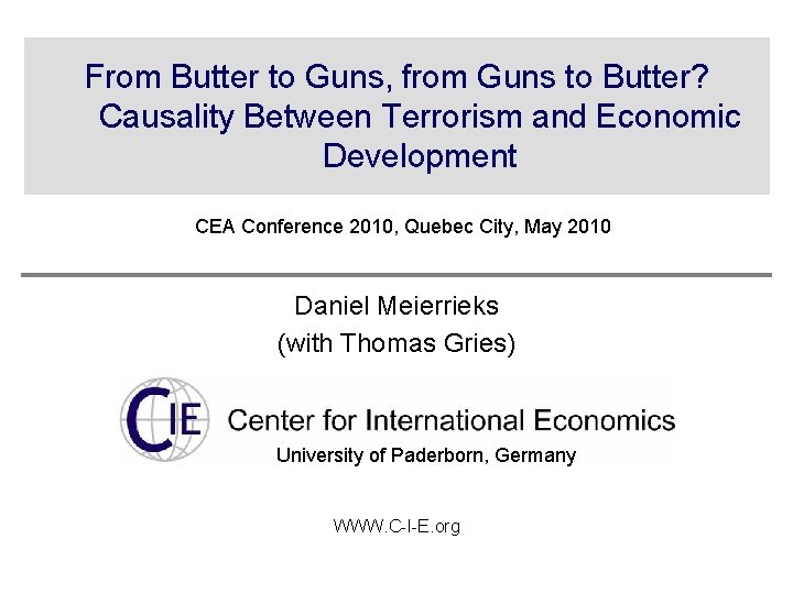 From Butter to Guns, from Guns to Butter? Causality Between Terrorism and Economic Development