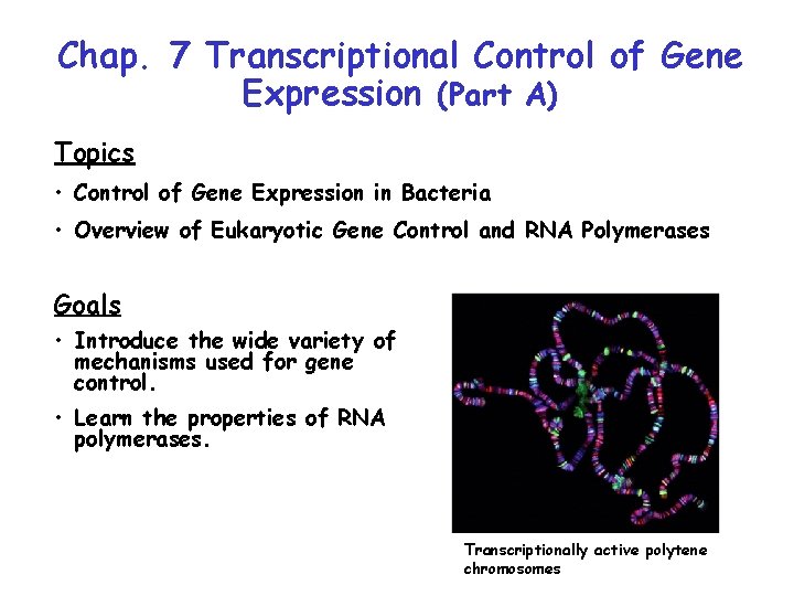 Chap 7 Transcriptional Control of Gene Expression Part
