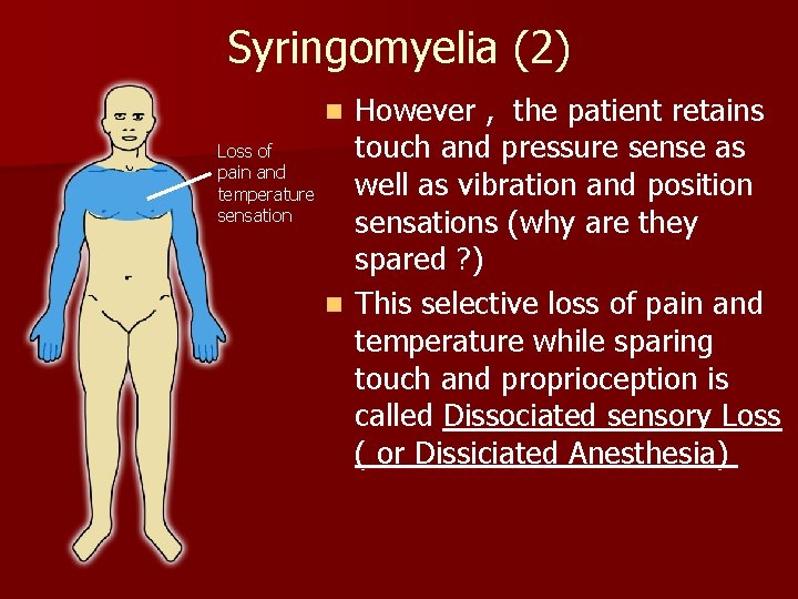 Syringomyelia (2) However , the patient retains touch and pressure sense as well as