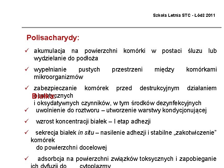 Szkoła Letnia STC - Łódź 2011 Polisacharydy: ü akumulacja na powierzchni komórki w postaci