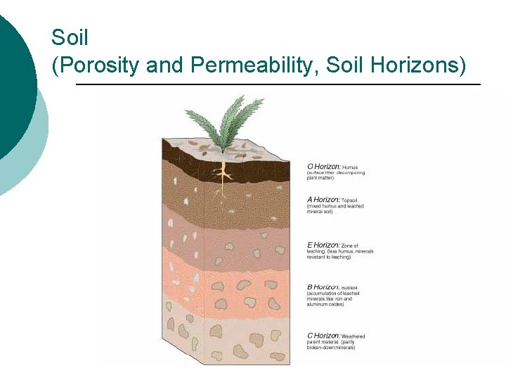 Soil (Porosity and Permeability, Soil Horizons) 
