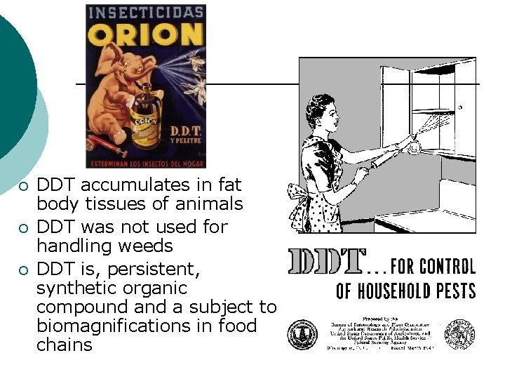 ¡ ¡ ¡ DDT accumulates in fat body tissues of animals DDT was not