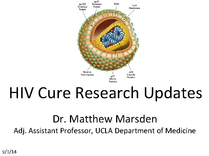 HIV Cure Research Updates Dr. Matthew Marsden Adj. Assistant Professor, UCLA Department of Medicine