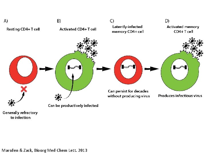 Marsden & Zack, Bioorg Med Chem Lett. 2013 