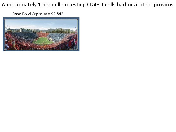 Approximately 1 per million resting CD 4+ T cells harbor a latent provirus. Rose