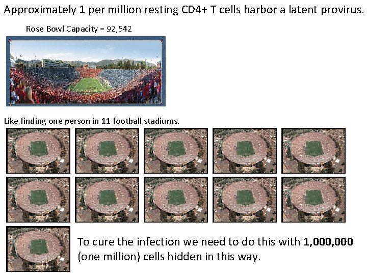 Approximately 1 per million resting CD 4+ T cells harbor a latent provirus. Rose