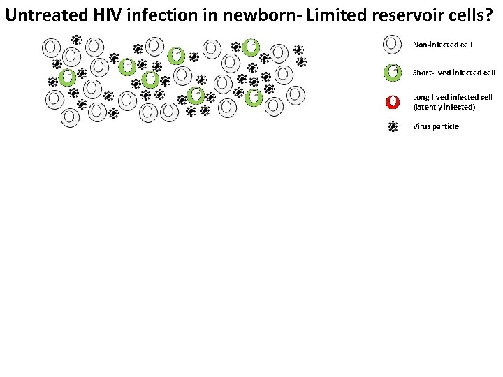 Untreated HIV infection in newborn- Limited reservoir cells? Non-infected cell Short-lived infected cell Long-lived