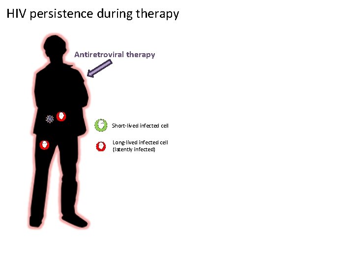 HIV persistence during therapy Antiretroviral therapy Short-lived infected cell Long-lived infected cell (latently infected)