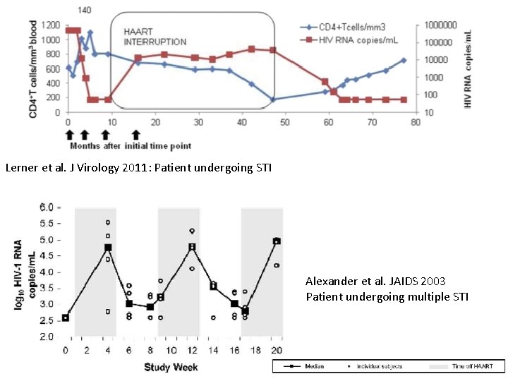 Lerner et al. J Virology 2011: Patient undergoing STI Alexander et al. JAIDS 2003