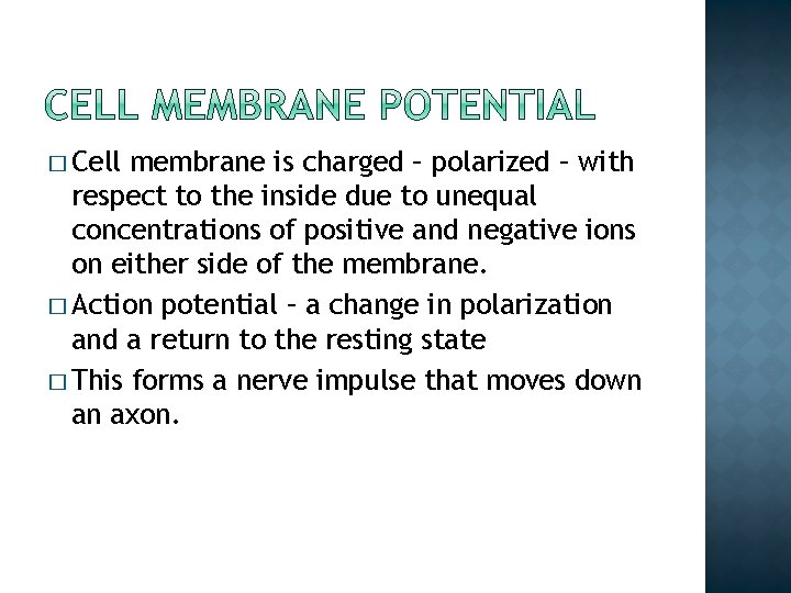 � Cell membrane is charged – polarized – with respect to the inside due � Cell membrane is charged – polarized – with respect to the inside due