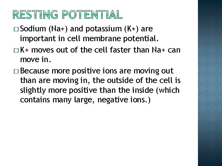 � Sodium (Na+) and potassium (K+) are important in cell membrane potential. � K+ � Sodium (Na+) and potassium (K+) are important in cell membrane potential. � K+