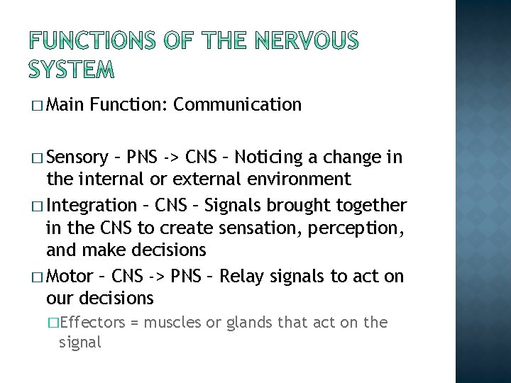 � Main Function: Communication � Sensory – PNS -> CNS – Noticing a change � Main Function: Communication � Sensory – PNS -> CNS – Noticing a change